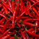 Red Chilli